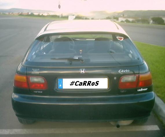 viper_sac_honda_2.jpg